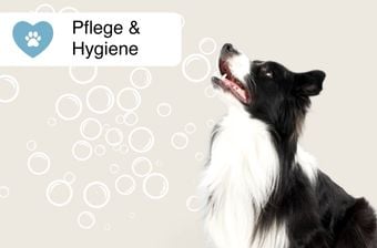 Pflege & Hygiene